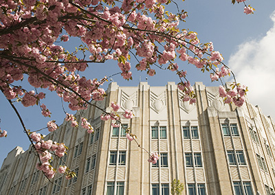 An exterior of Harborview Medical Center viewed through cherry blossoms. 